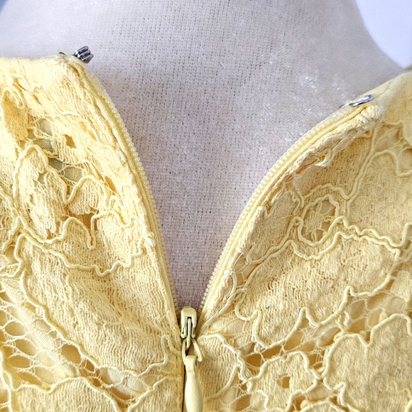 Lace Sheath Dress - Picture 5 of 9